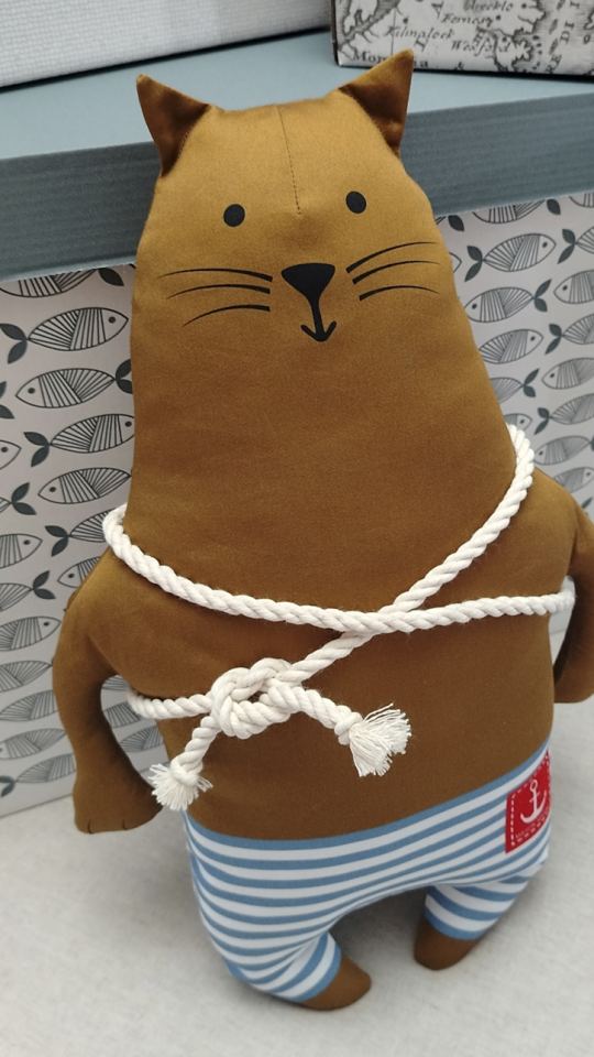 Кот Старпом Полоскин.
