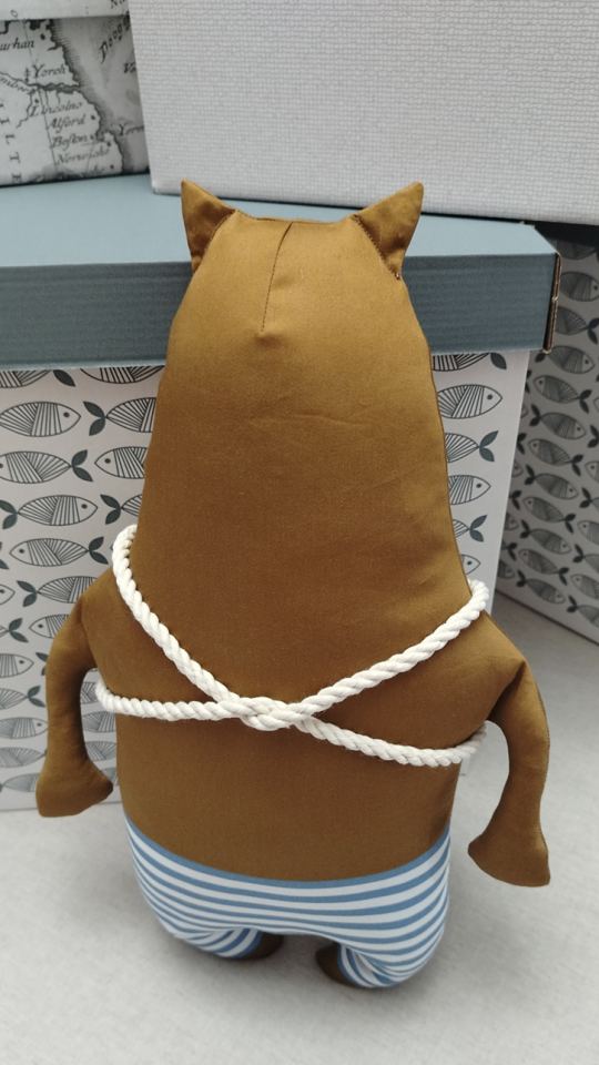 Кот Старпом Полоскин.