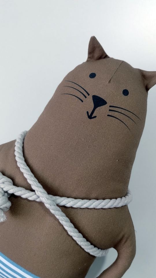 Кот Полоскин.