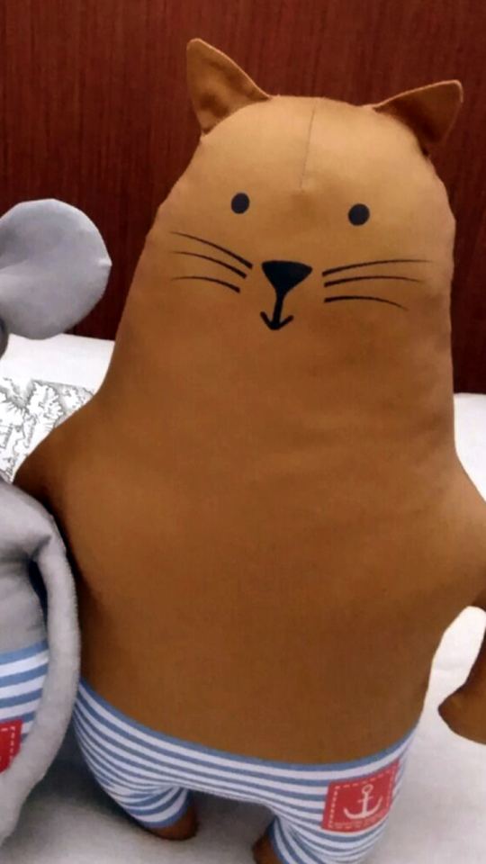 Кот Полоскин.