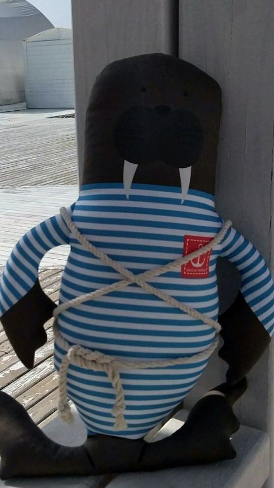 Морж Жека.