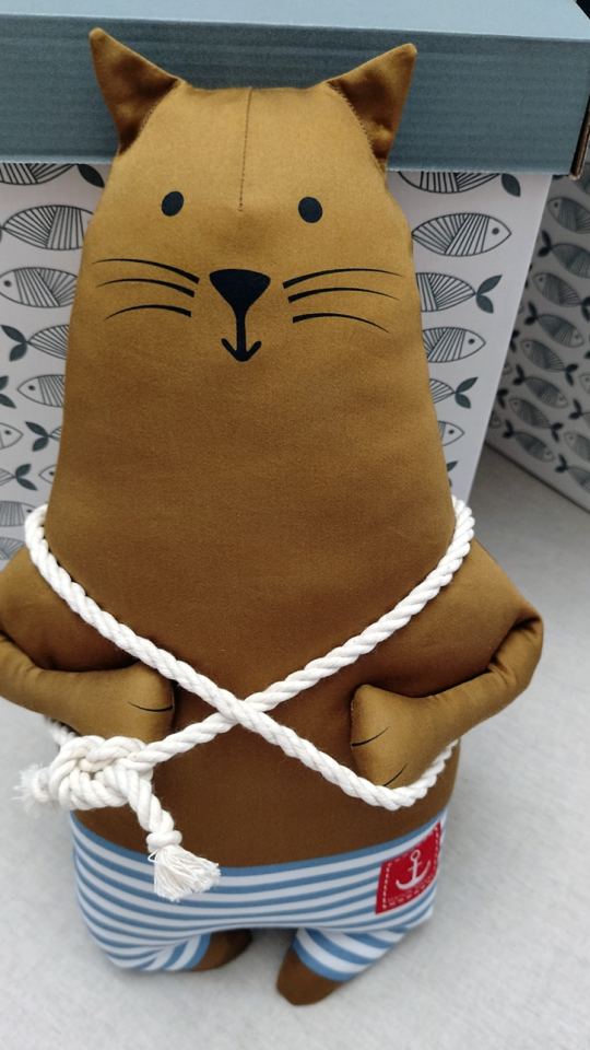 Кот старпом.